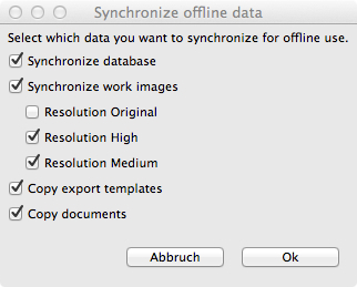Offline Data Sync
